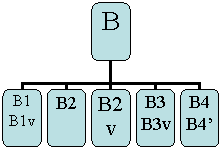 Organization Chart