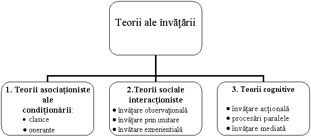 Organization Chart