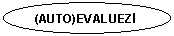 Oval: (AUTO)EVALUEZI                