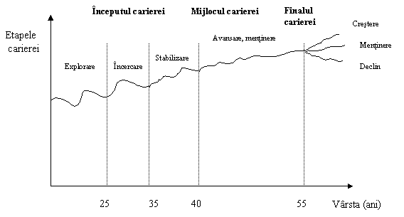 Flowchart: Process: Etapele 
 carierei
