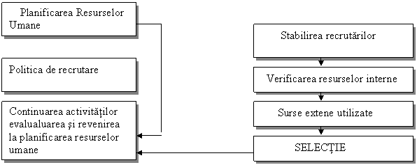 Text Box: Planificarea Resurselor Umane