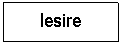 Text Box: Iesire