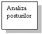 Text Box: Analiza 
posturilor
