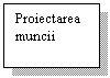 Text Box: Proiectarea
muncii
