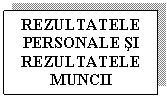 Text Box: REZULTATELE
PERSONALE SI
REZULTATELE
MUNCII
