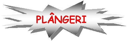 Explosion 1: PLANGERI