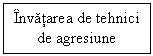 Text Box: Invatarea de tehnici de agresiune