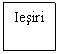 Text Box: Iesiri
