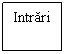 Text Box: Intrari