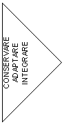 Right Arrow: CONSERVARE
ADAPTARE
INTEGRARE
