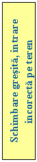 Text Box: Schimbare gresita, intrare incorecta pe teren