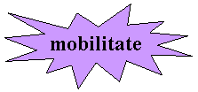 Explosion 1: mobilitate