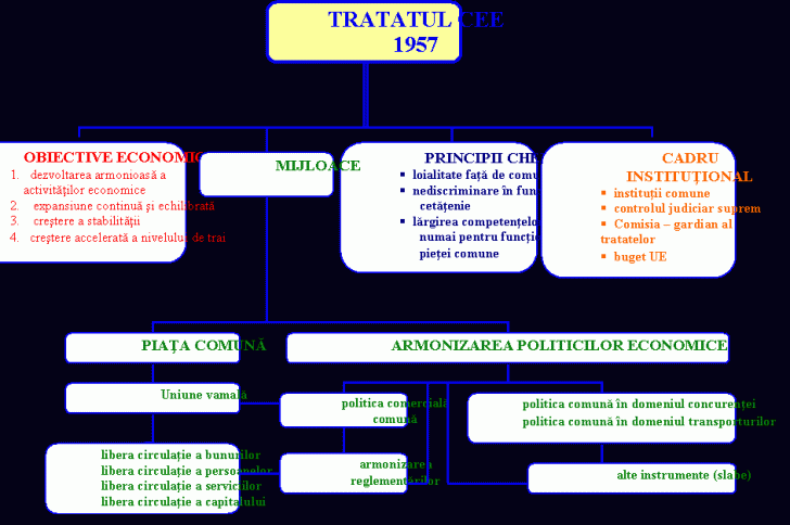 Organization Chart