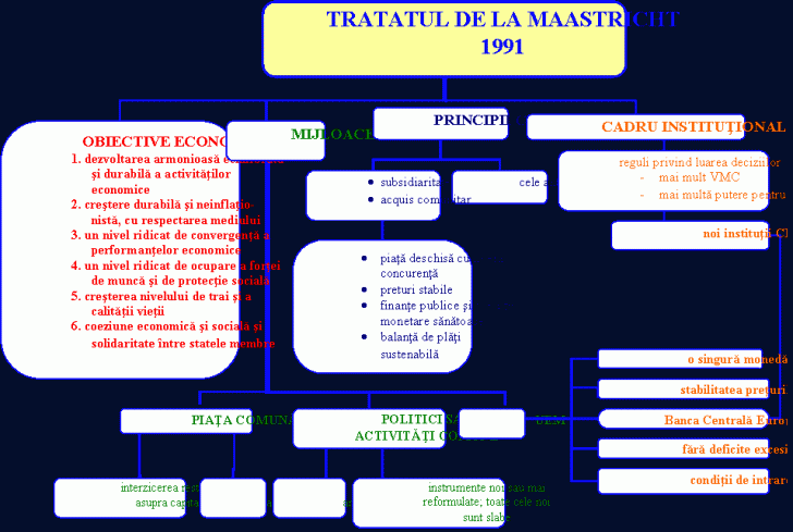 Organization Chart