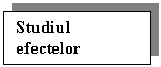 Text Box: Studiul 
efectelor 
