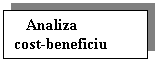 Text Box:    Analiza 
cost-beneficiu
