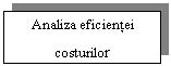 Text Box: Analiza eficientei     costurilor