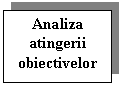 Text Box: Analiza atingerii obiectivelor