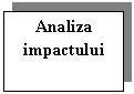 Text Box: Analiza impactului