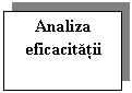 Text Box: Analiza eficacitatii