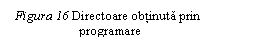 Text Box:  Figura 16 Directoare obtinuta prin   	      programare