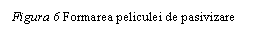 Text Box: Figura 6 Formarea peliculei de pasivizare

