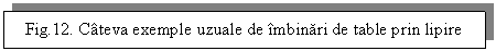 Text Box: Fig.12. Cateva exemple uzuale de imbinari de table prin lipire