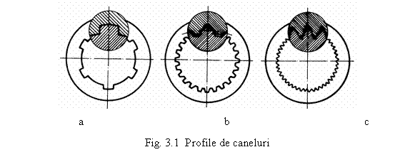 Text Box: 
 a b c 
Fig. 3.1 Profile de caneluri

