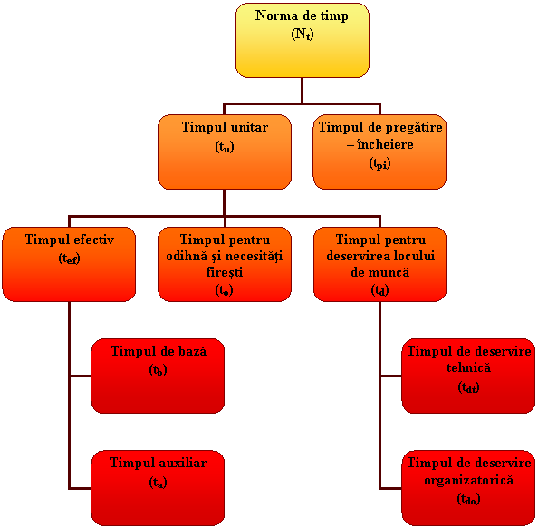 Organization Chart