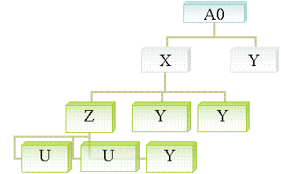 Organization Chart