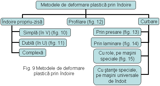 Organization Chart