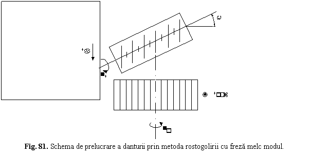 Text Box: 
Fig. 81. Schema de prelucrare a danturii prin metoda rostogolirii cu freza melc modul.
