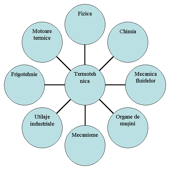 Radial Diagram