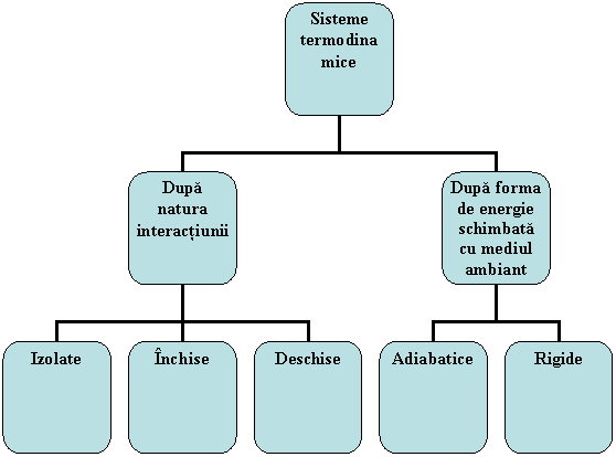 Organization Chart