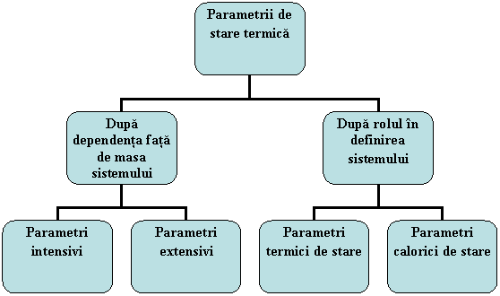 Organization Chart