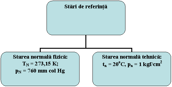 Organization Chart