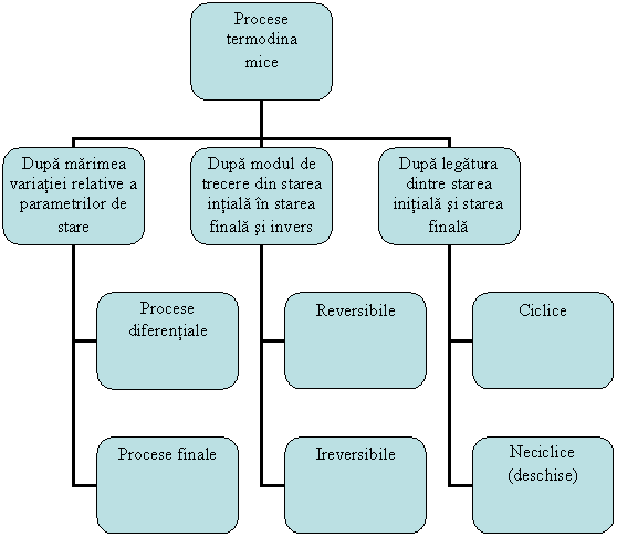 Organization Chart