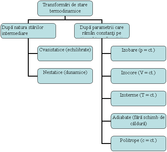 Organization Chart