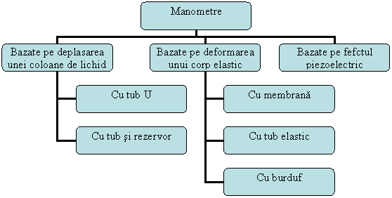 Organization Chart