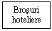 Text Box: Brosuri
hoteliere
