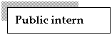 Text Box: Public intern