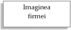 Text Box: Imaginea 
firmei
