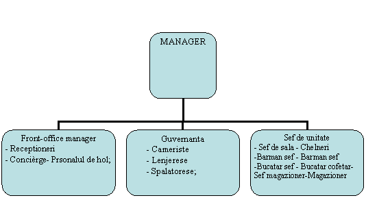 Organization Chart