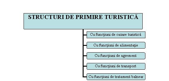 Organization Chart