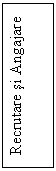 Text Box: Recrutare si Angajare