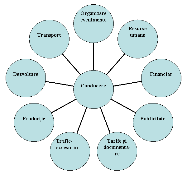 Radial Diagram