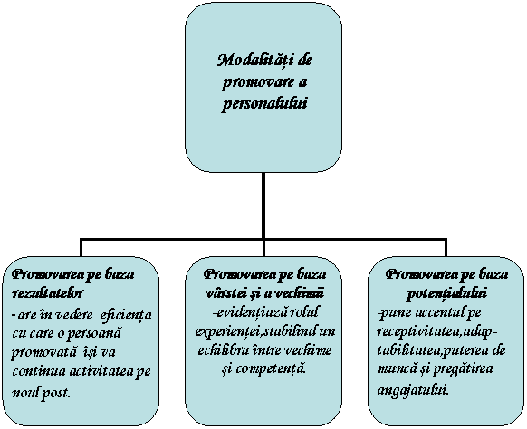 Organization Chart