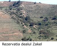 zakel