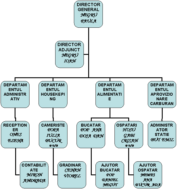 Organization Chart