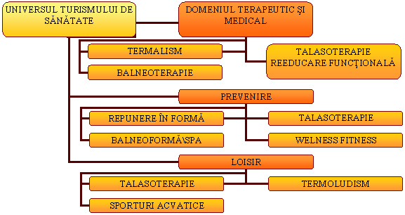 Organization Chart